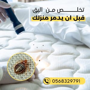 شركة مكافحة حشرات في ابوظبي
