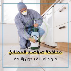 شركة مكافحة حشرات في دبي