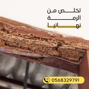 شركة مكافحة حشرات في الشارقة