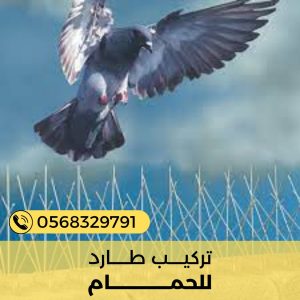 شركة مكافحة حشرات في الفجيرة